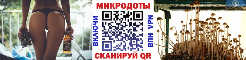 Псилоцибиновые грибы ЛСД  блэк спрут вход  Валуйки 