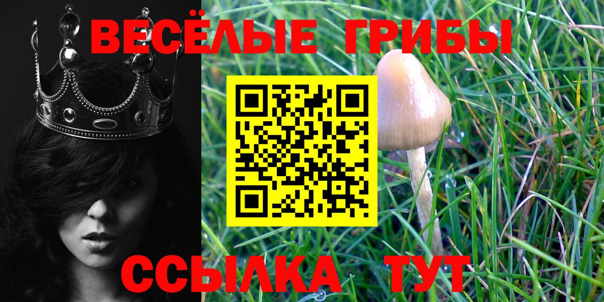 Валуйки  Псилоцибиновые грибы GOLDEN TEACHER  Псилоцибиновые грибы Cubensis  Вход с VPN 